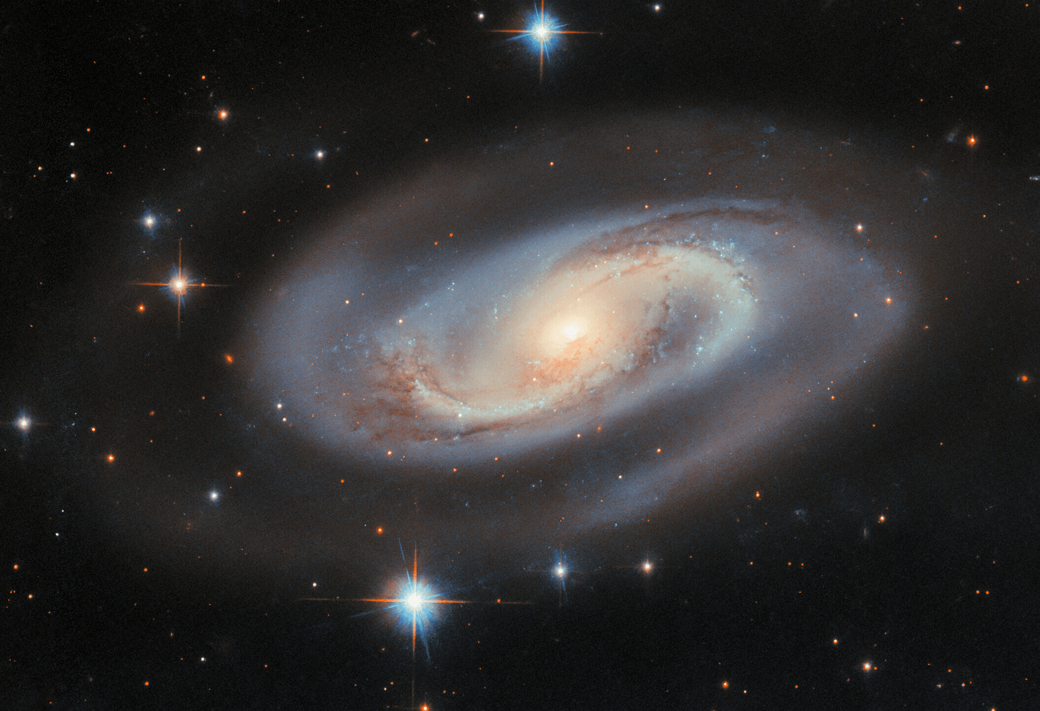 Cosmic preview